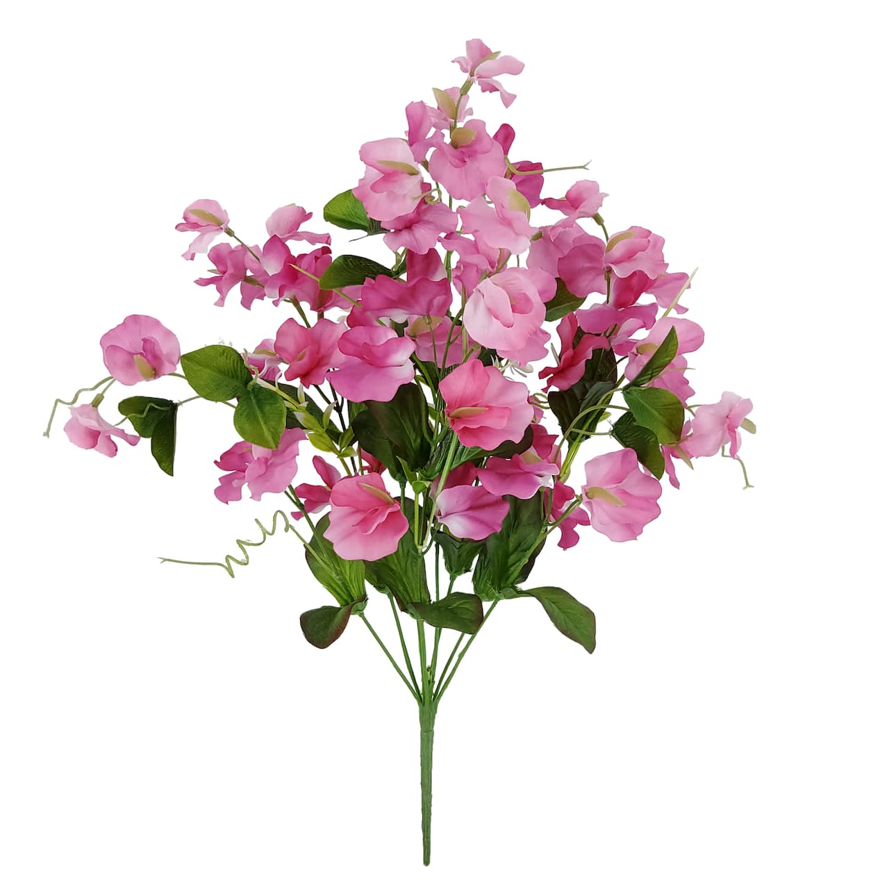 19" Pink Sweet Pea Bush by Ashland®